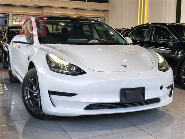 Tesla Model 3 2023 for sale in Iraq - Erbil